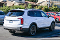 2023 Kia Telluride SX-Prestige X-Pro