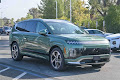 2026 Hyundai IONIQ 9 Performance Calligraphy