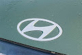 2026 Hyundai IONIQ 9 Performance Calligraphy