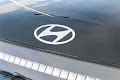 2026 Hyundai IONIQ 9 Performance Calligraphy