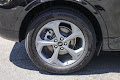 2023 Ford Escape Hybrid ST-Line